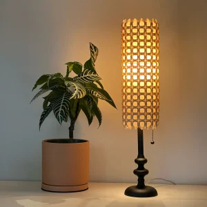 Puffed Square Lampshade with Cross Motif origami tessellation by Charlie Weitzenberg next to a zebra plant